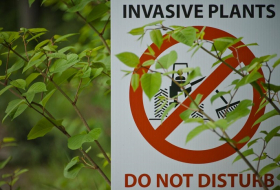 These countries are most vulnerable to invasive species